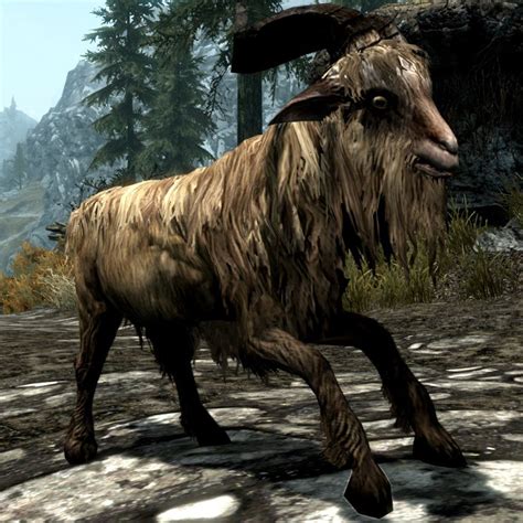 skyrim goat hide id